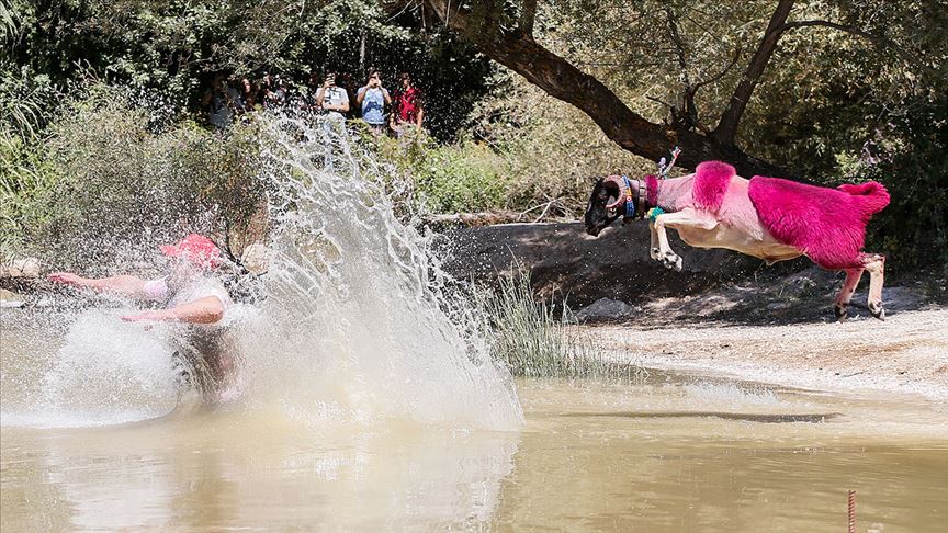 Denizli Haber Çal Şap (2)