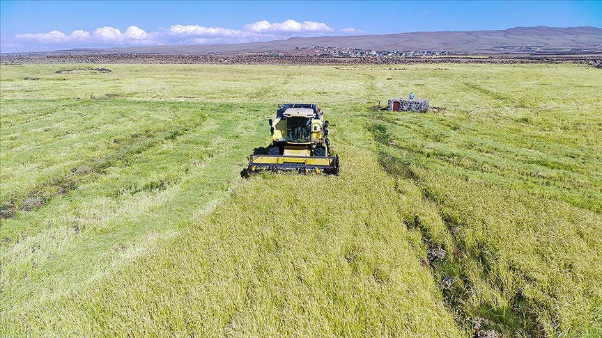 Denizli Haber Çiftçi-8