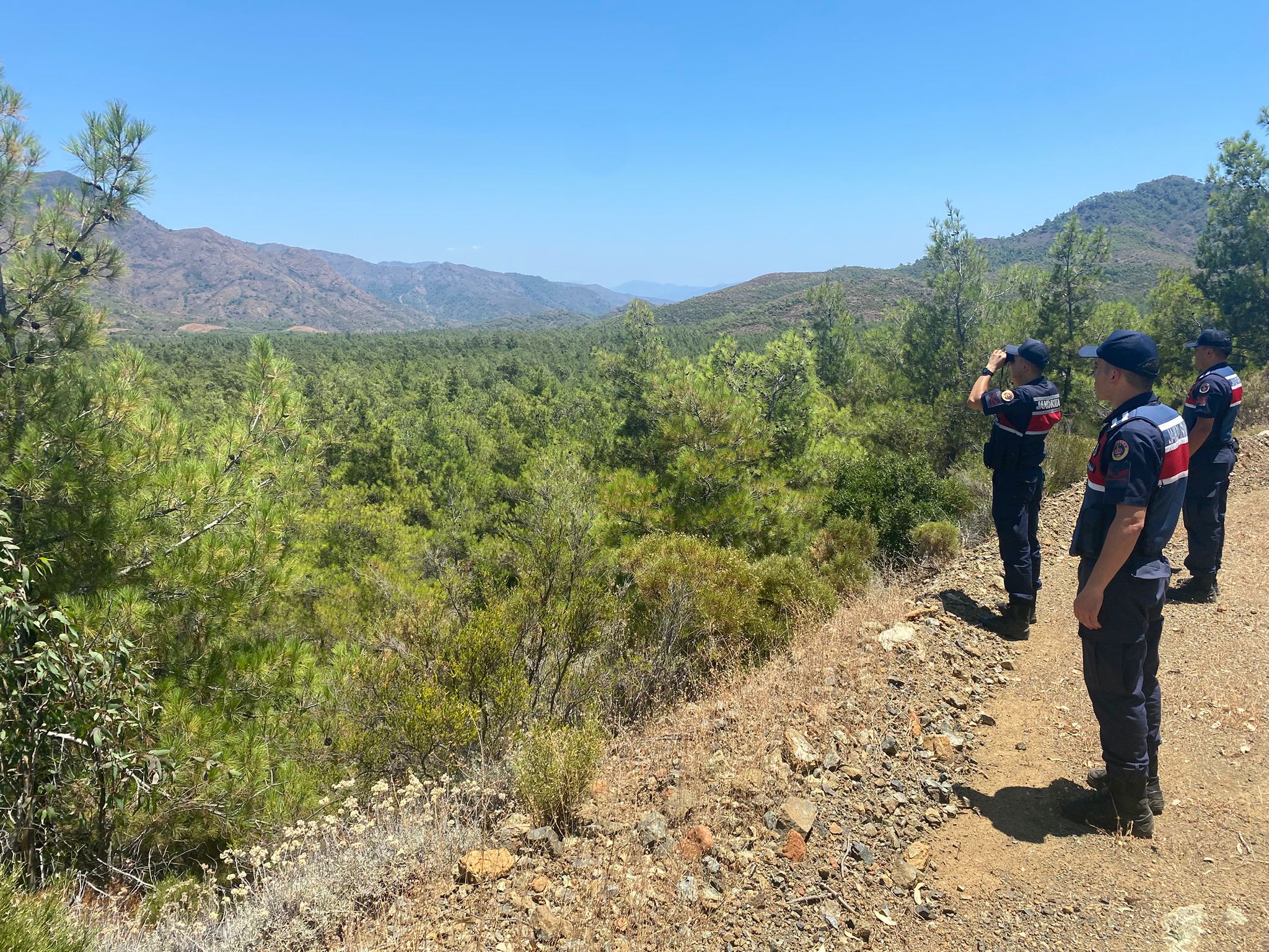Denizli Haber Datça Orman Yangını (2)