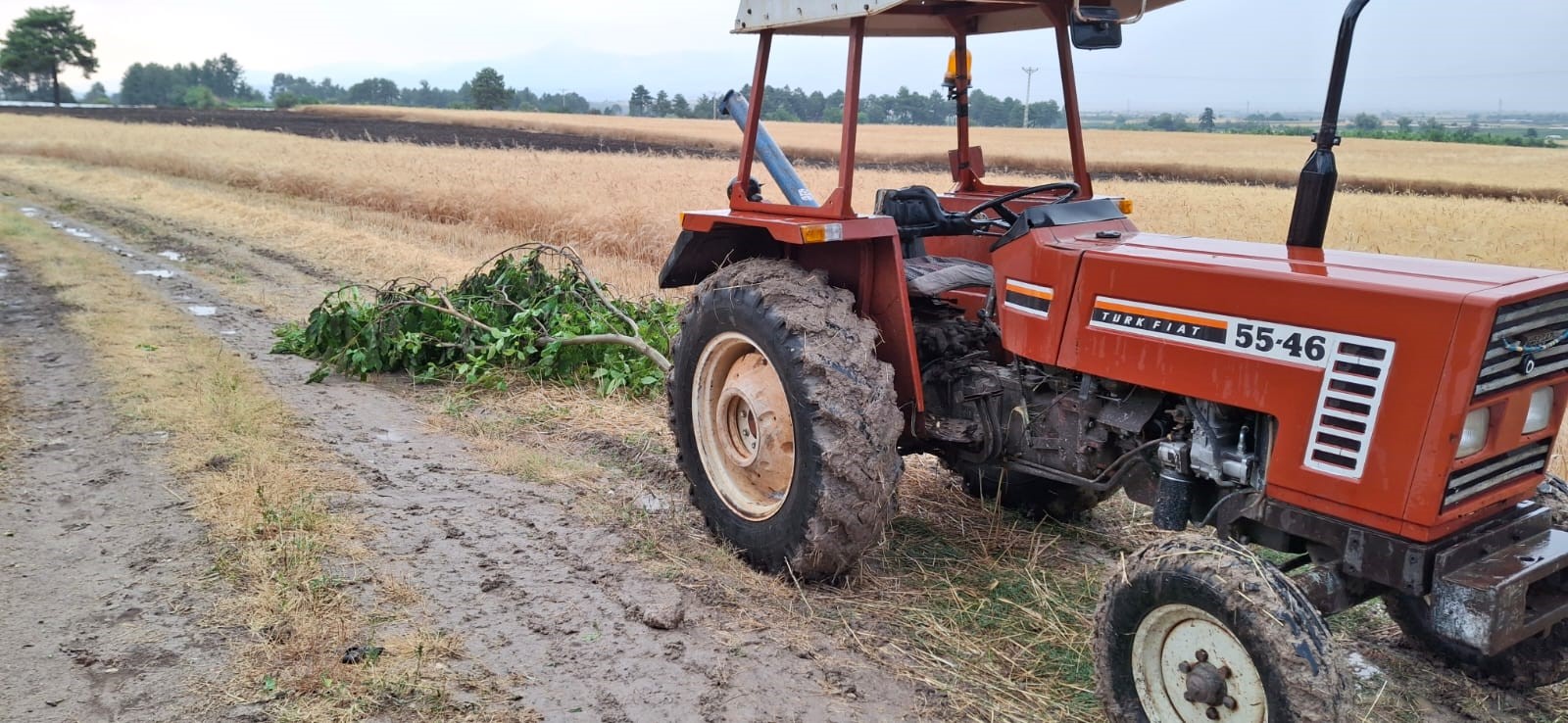 Denizli Haber Ekili Arazi (2)