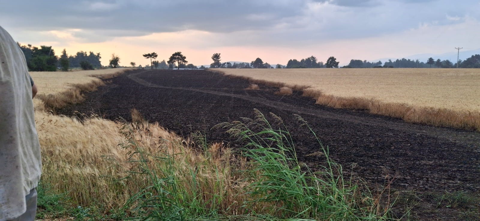 Denizli Haber Ekili Arazi (3)