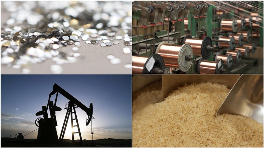 Denizli Haber Emtia-9