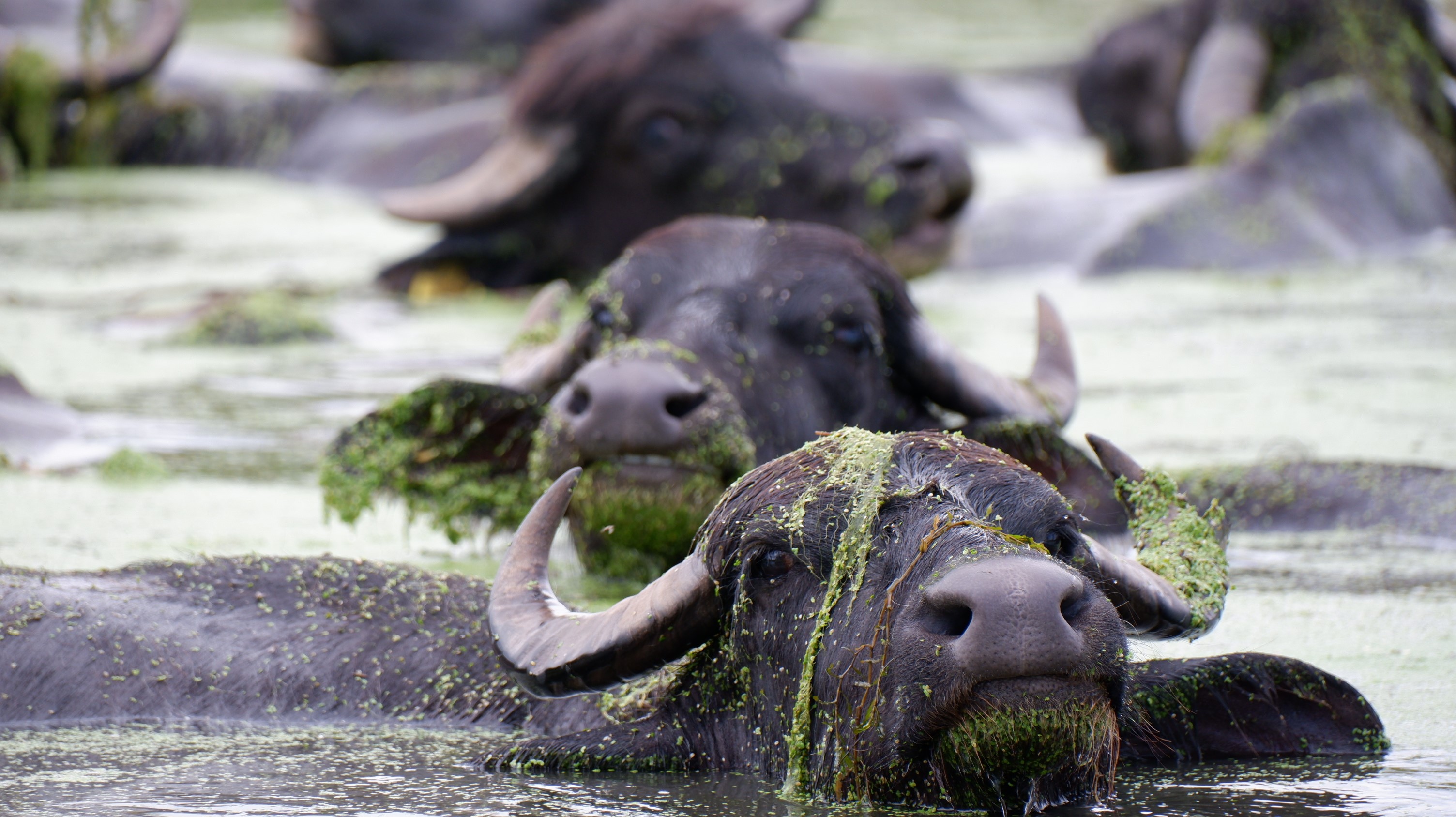 Denizli Haber Erzurum-3