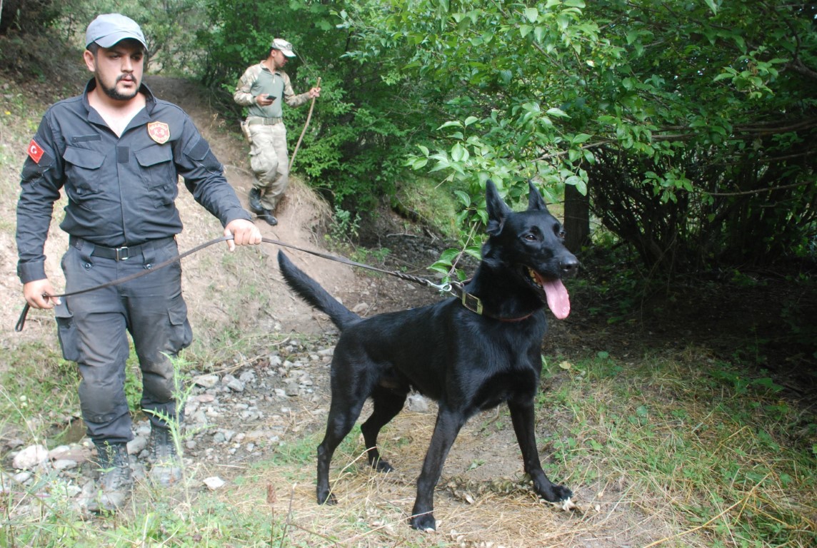 Denizli Haber Evrim2