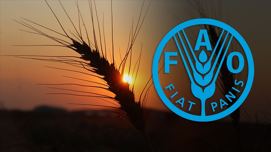 Denizli Haber Fao