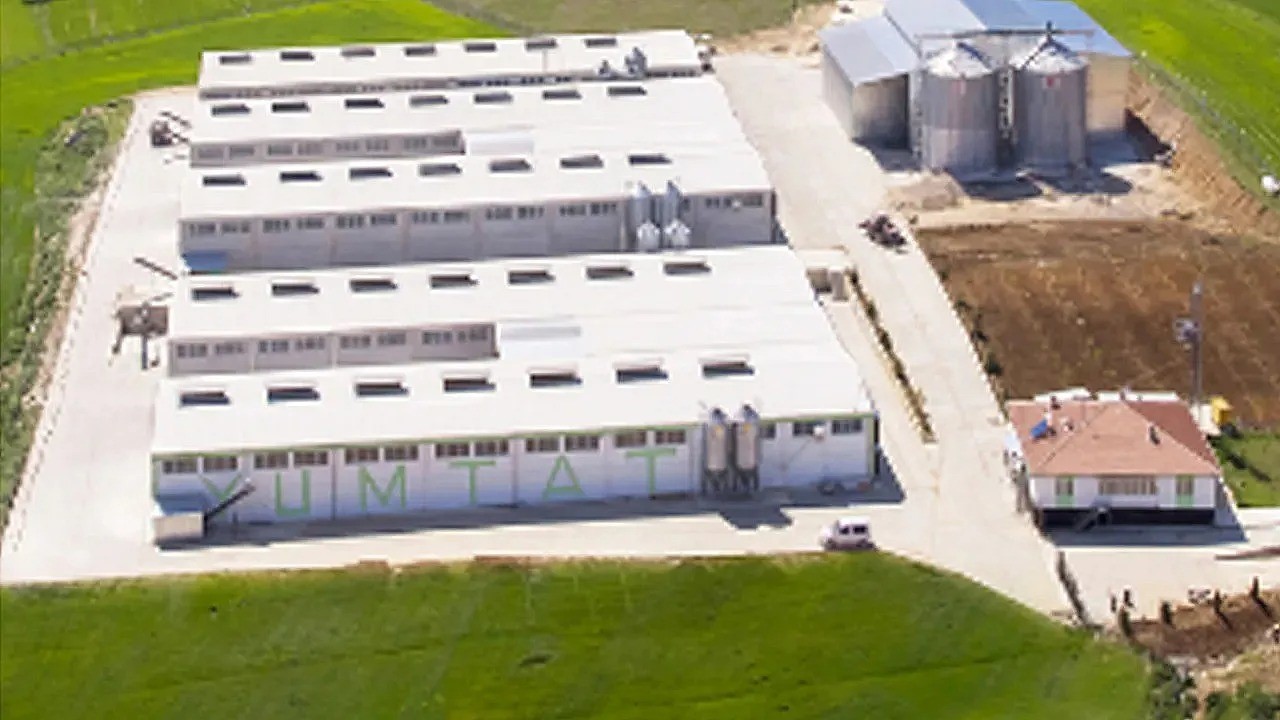 Denizli Haber Fetö Soruşturması