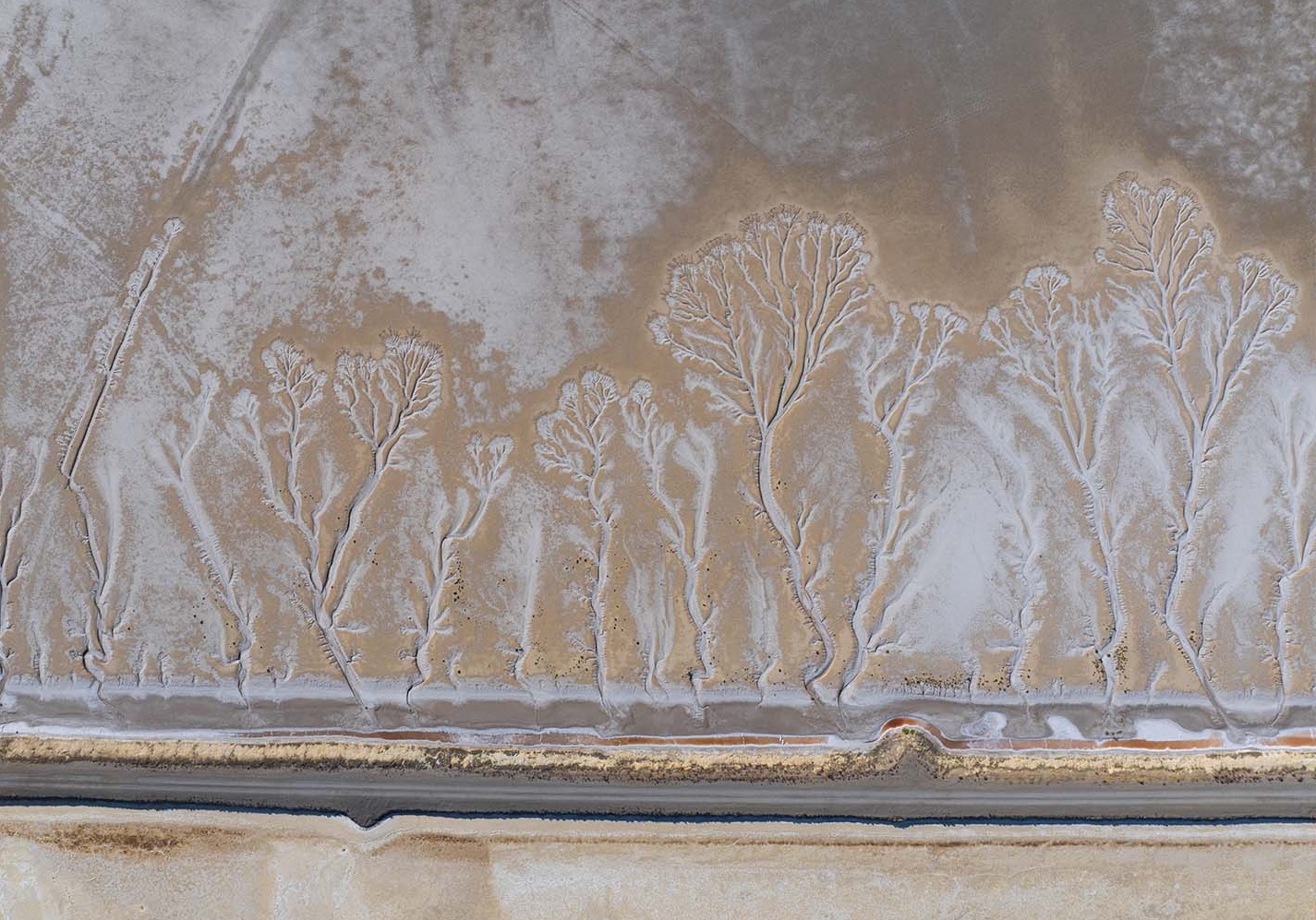 Denizli Haber Göl5-1