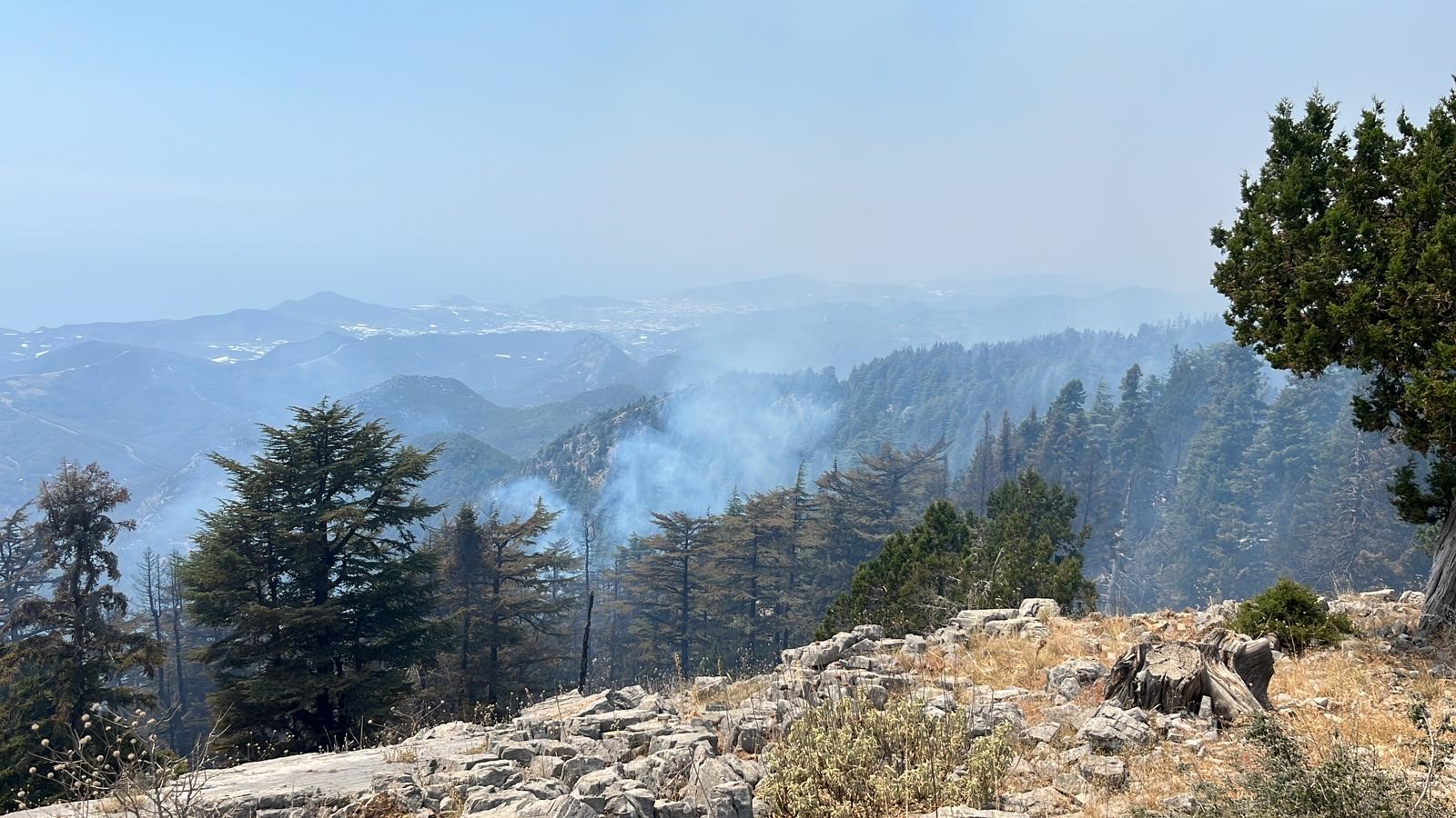 Denizli Haber Gzipaşa Yangın