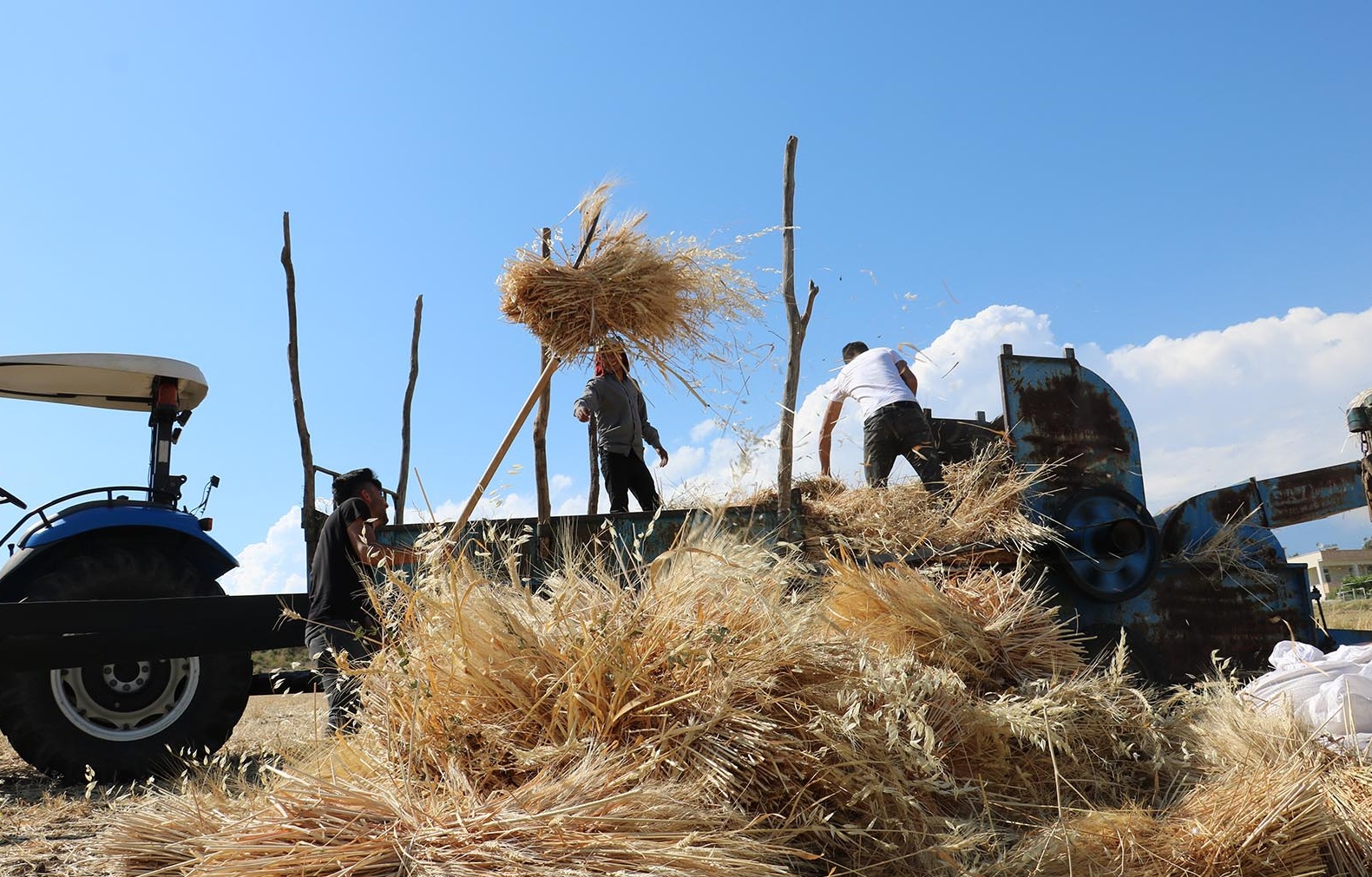 Denizli Haber Hasat2-2