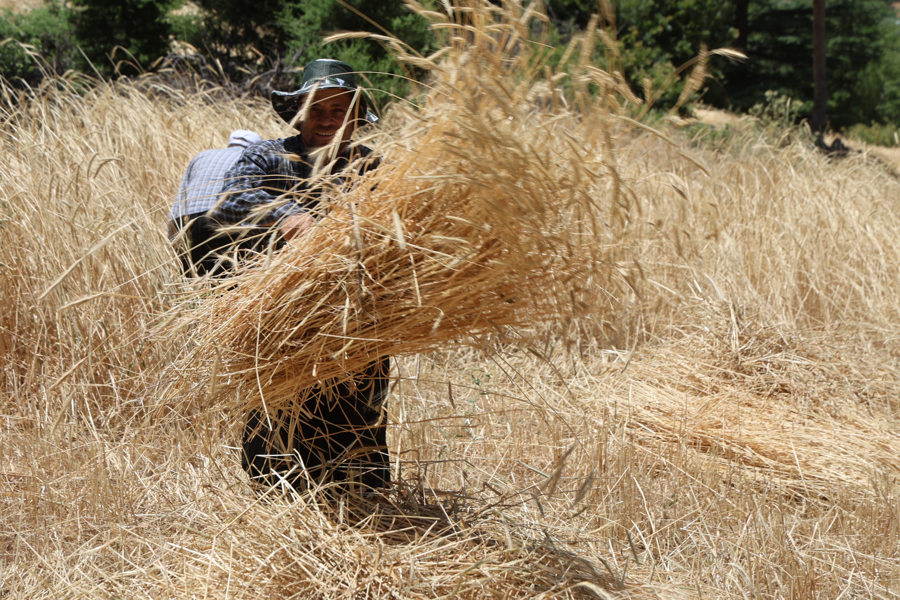 Denizli Haber Hasat6