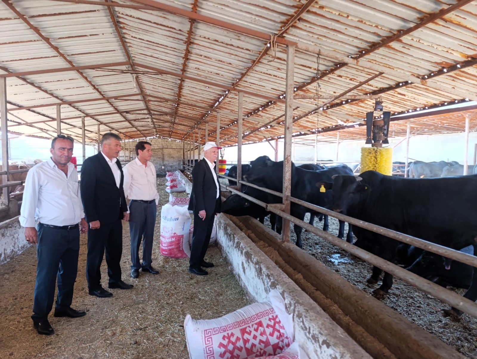 Denizli Haber Hayvancılık1