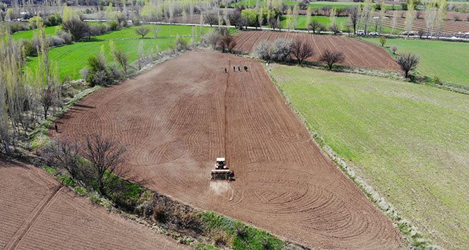 Denizli Haber Izmir66