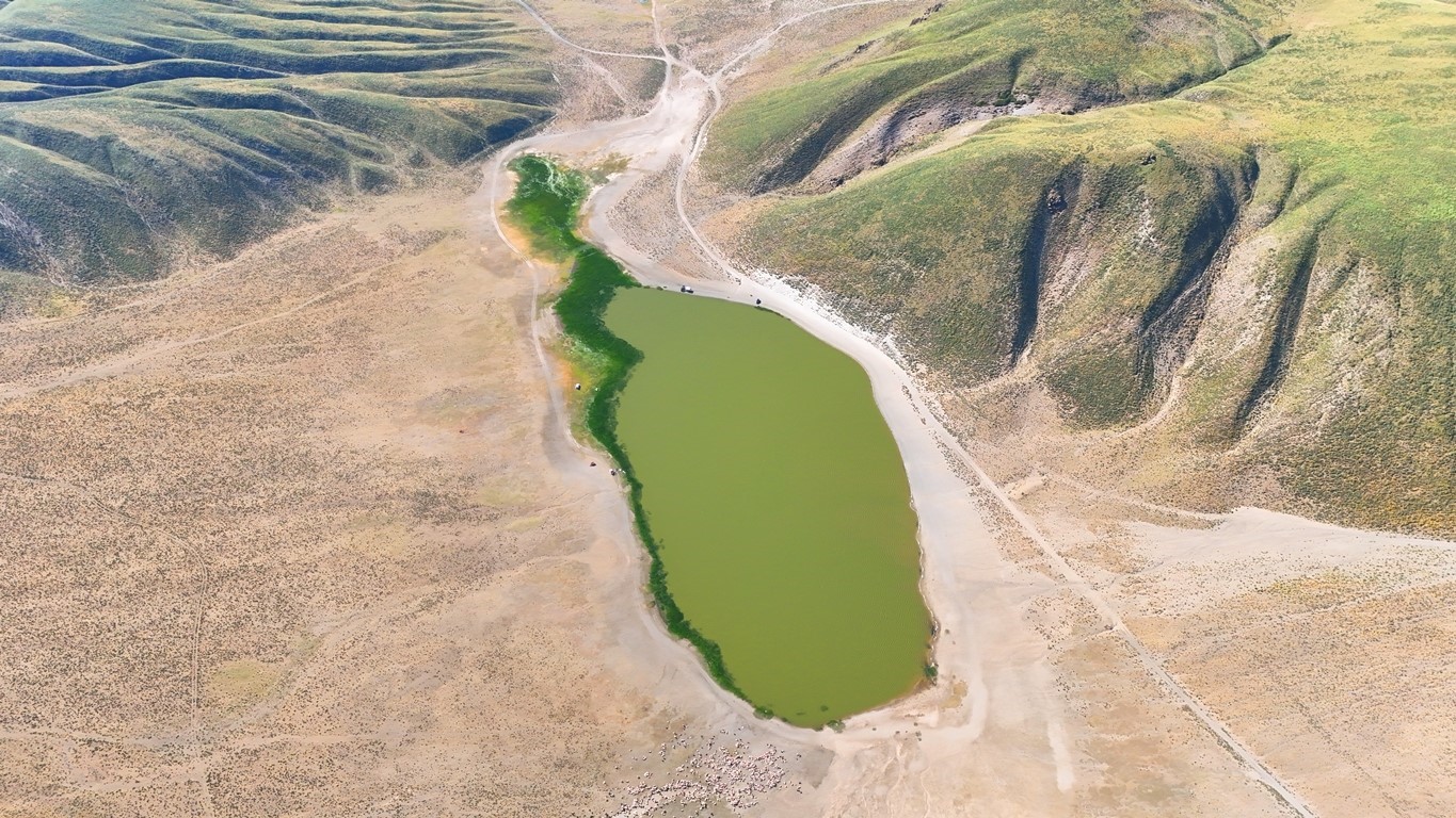 Denizli Haber Kalp-3