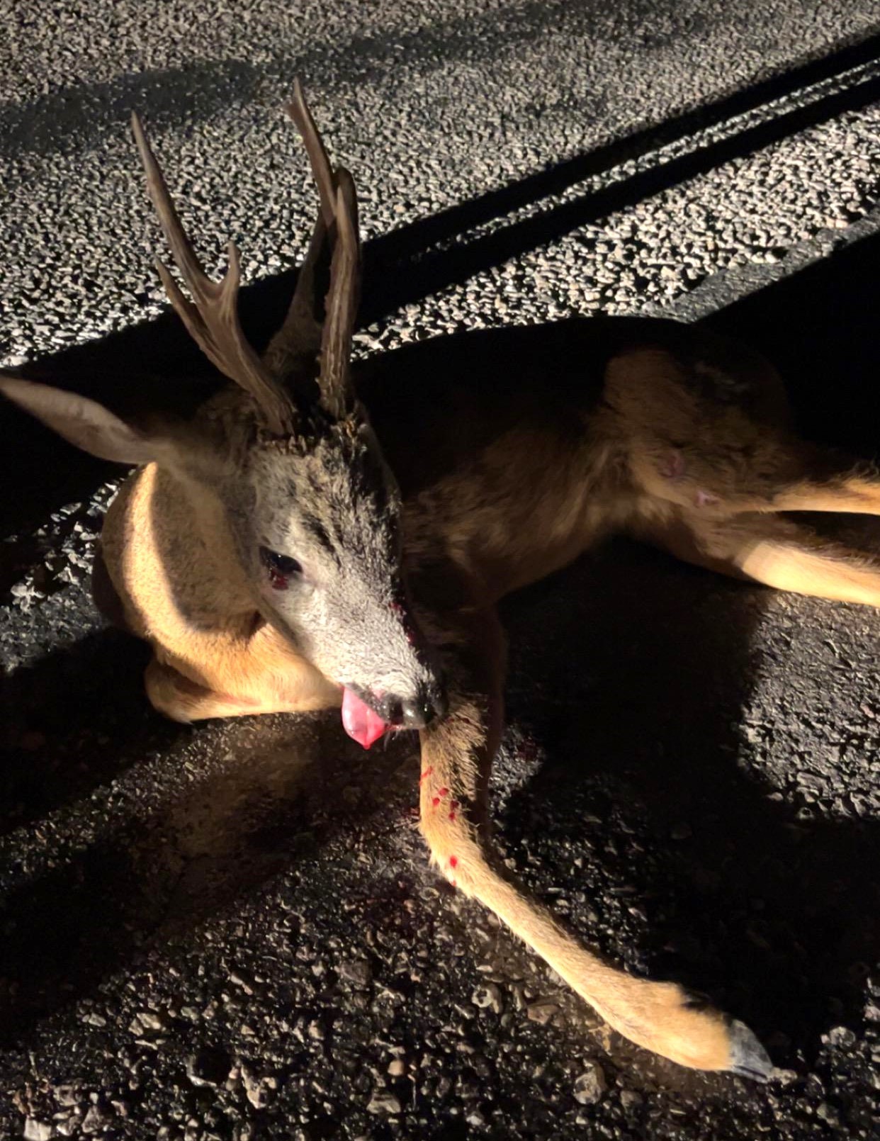 Denizli Haber Karaca (2)-1