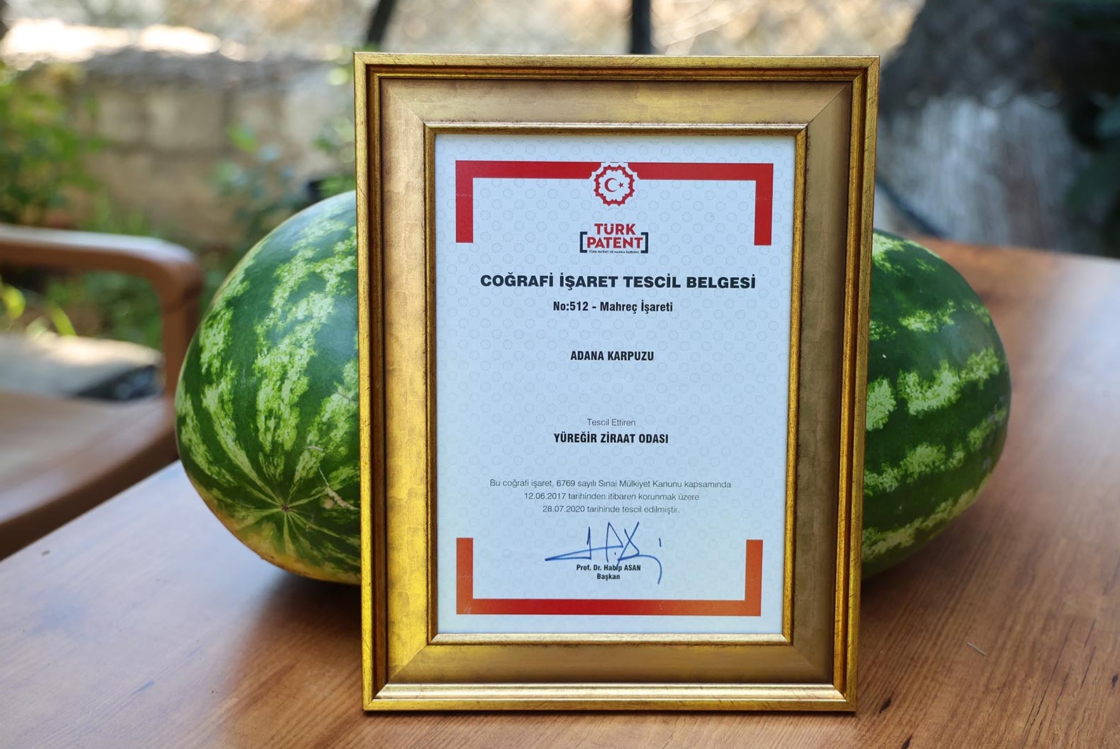 Denizli Haber Karpuz4