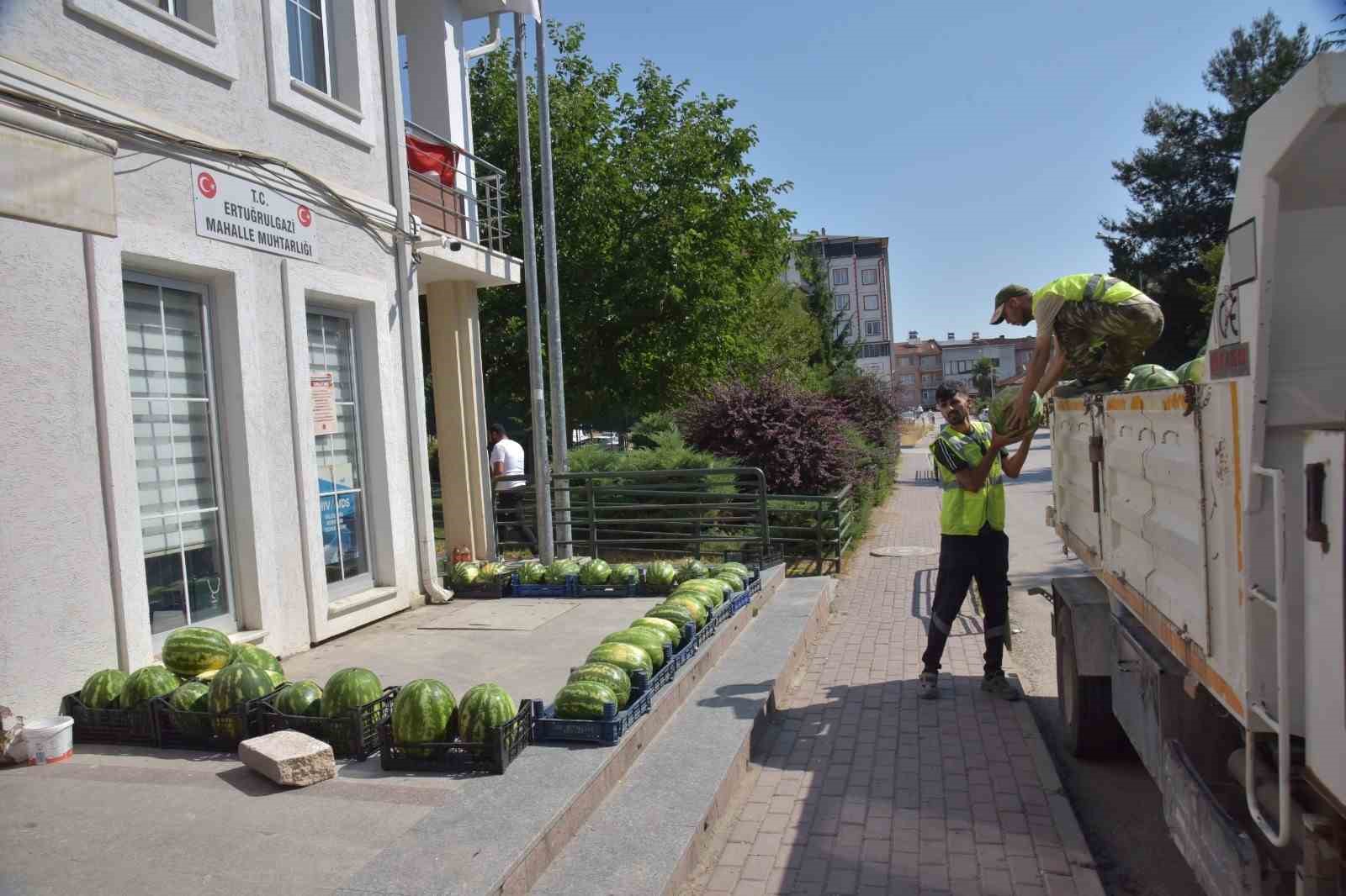 Denizli Haber Karpuzz