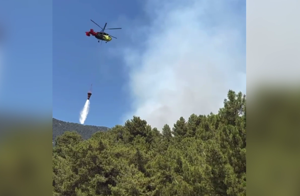 Denizli Haber Kaş Yangın