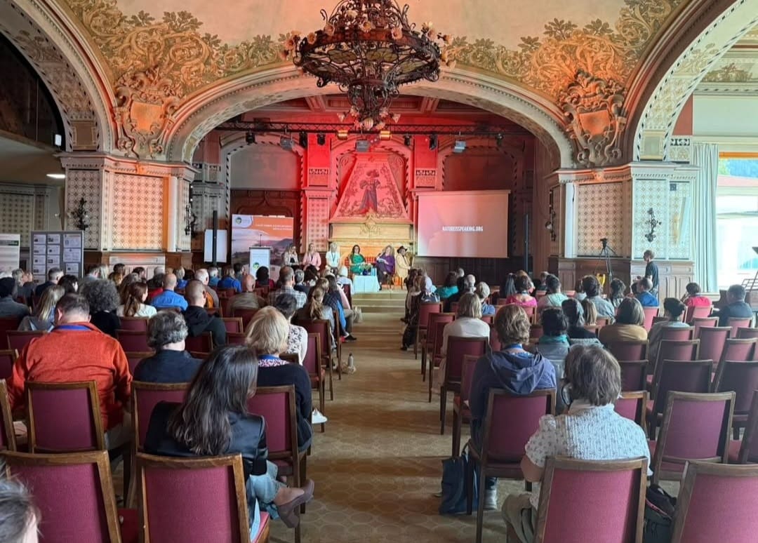 Denizli Haber Kaya Köşe 30 Temmuz (6)