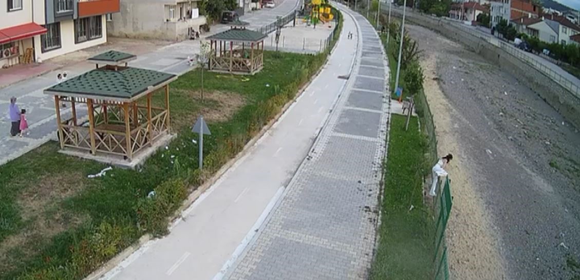 Denizli Haber Kedi-4