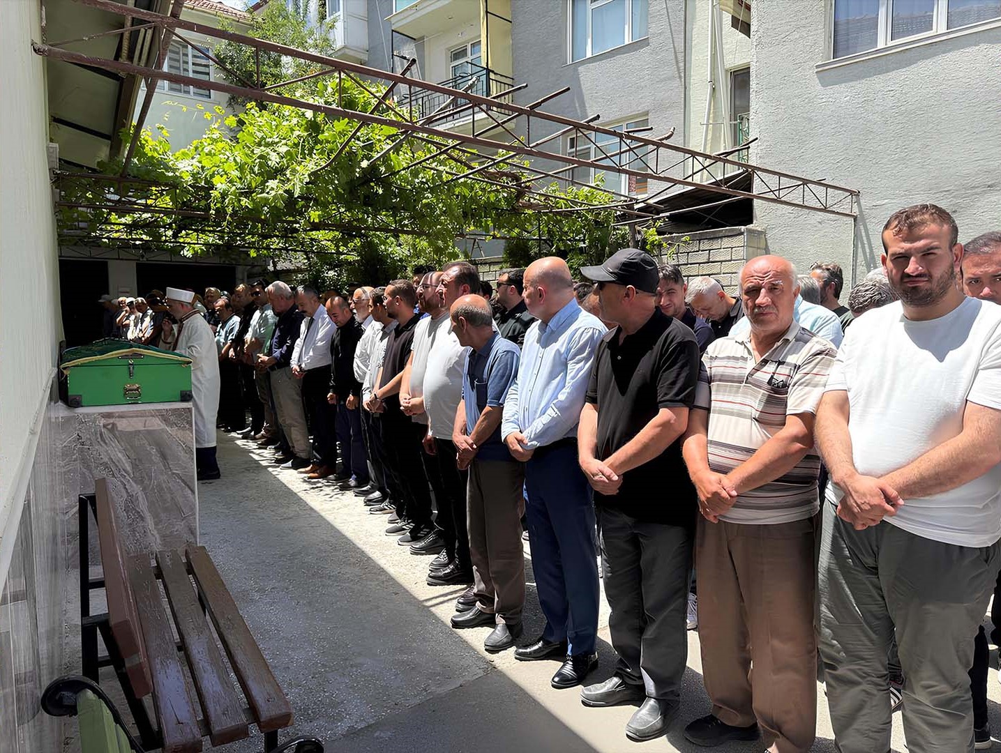 Denizli Haber Kelebek 64545