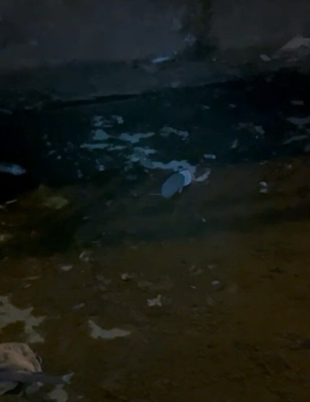 Denizli Haber Kirpi (2)