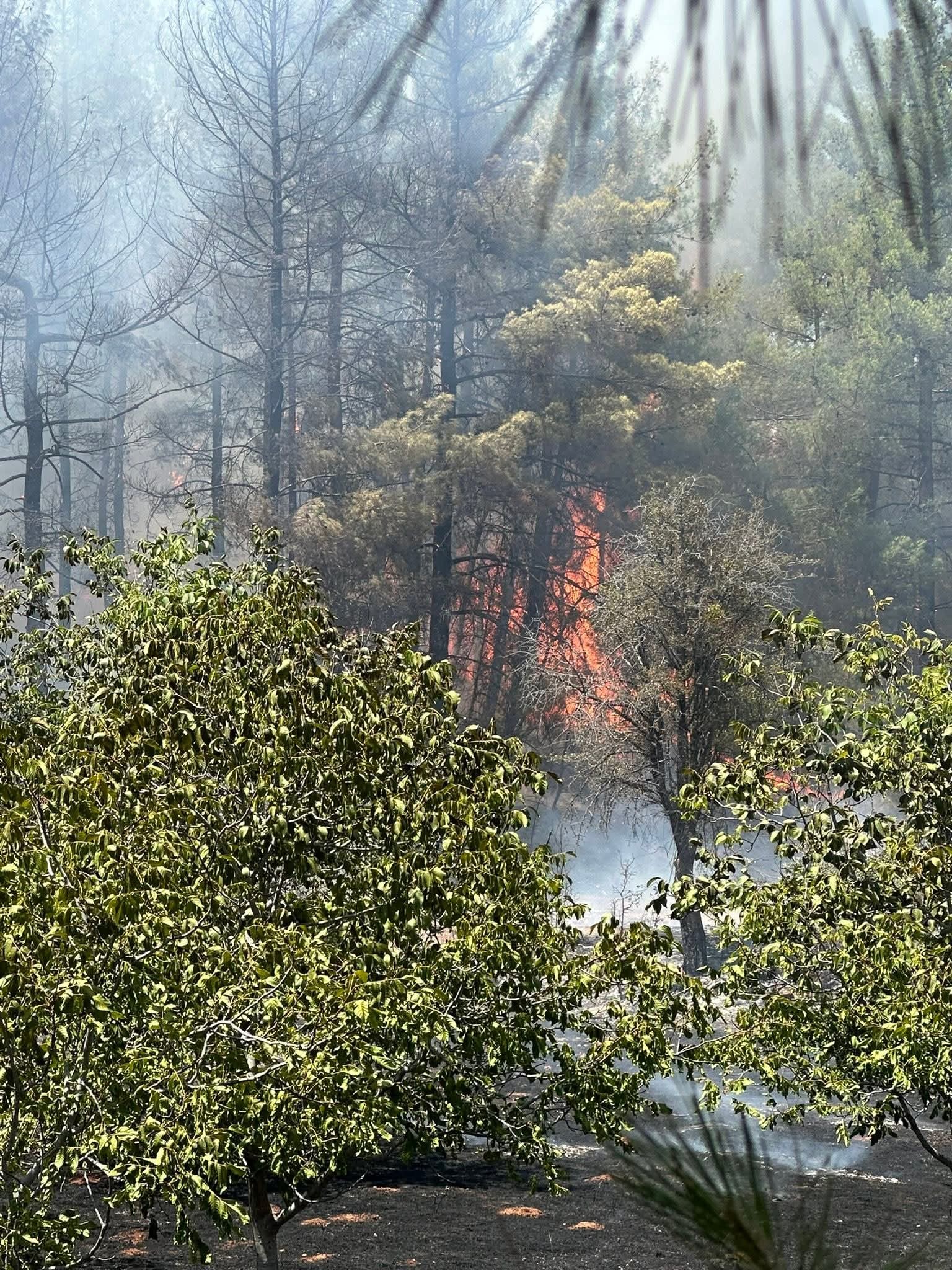 Denizli Haber Kızılcabölük (3)-1