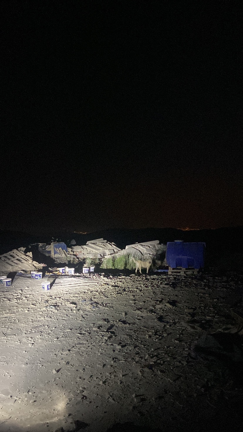 Denizli Haber Köpek Honaz (1)