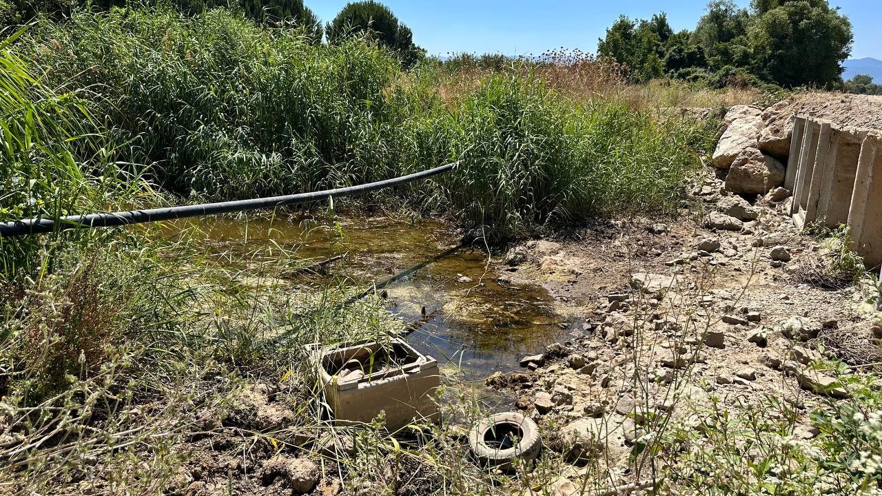 Denizli Haber Kuru (1)