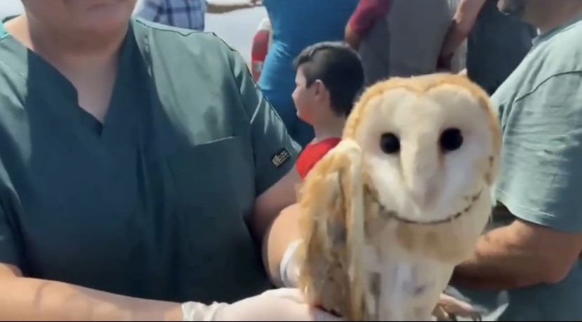 Denizli Haber Kuş Tedavi (1)