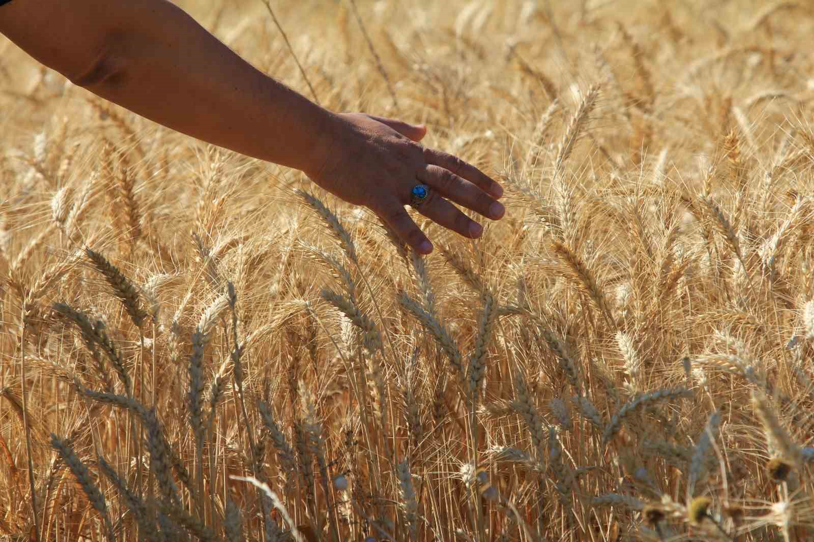 Denizli Haber Makarna-2