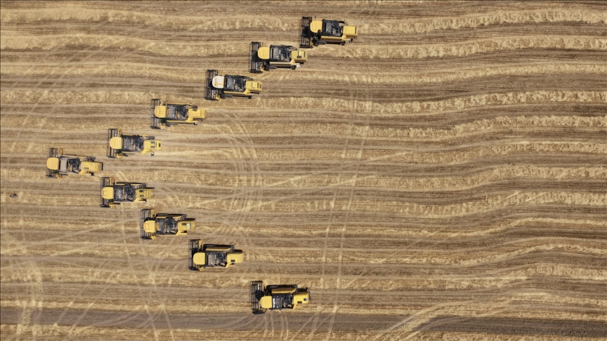 Denizli Haber Malya Tarim