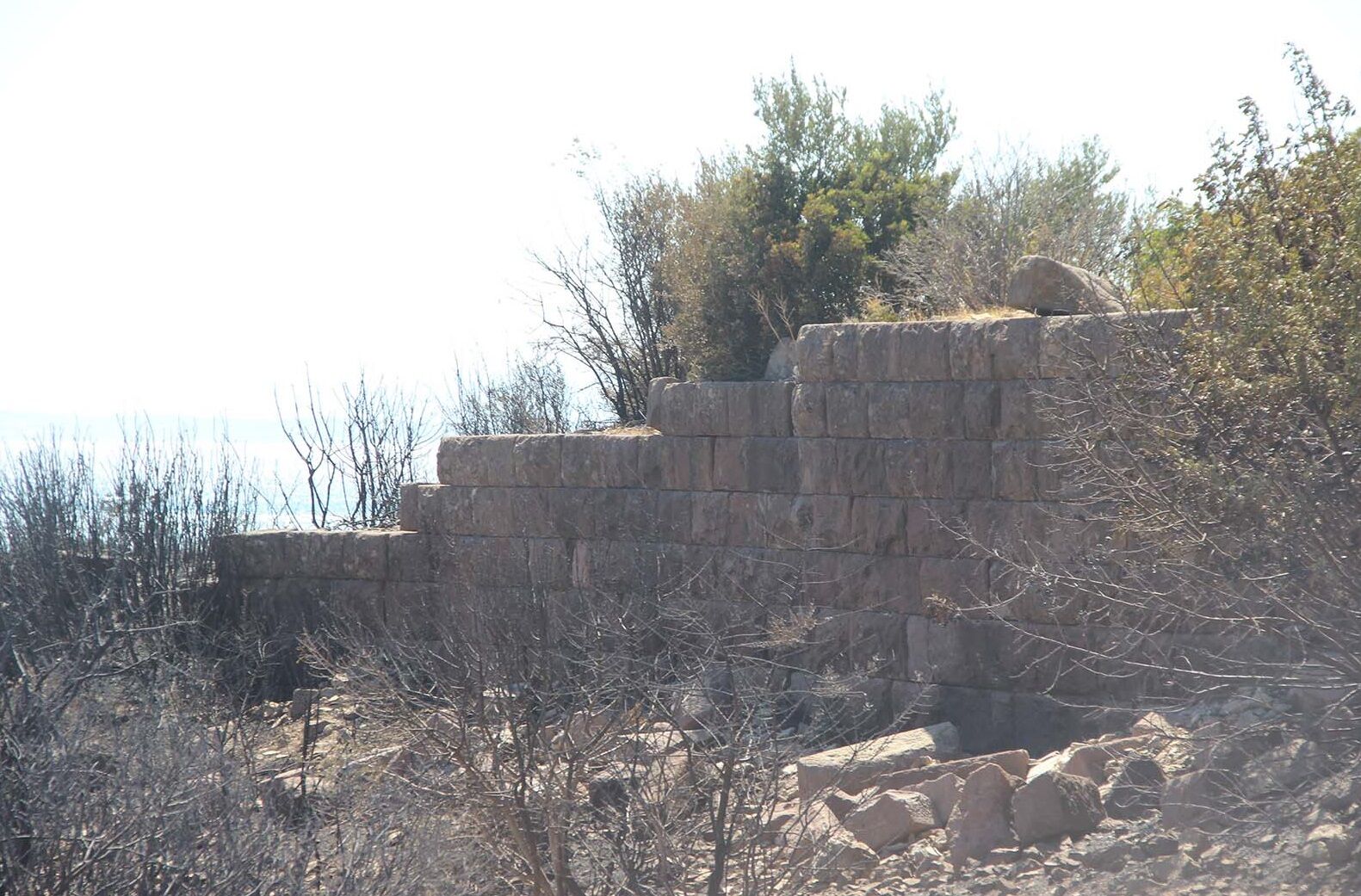 Denizli Haber Miras Yangın