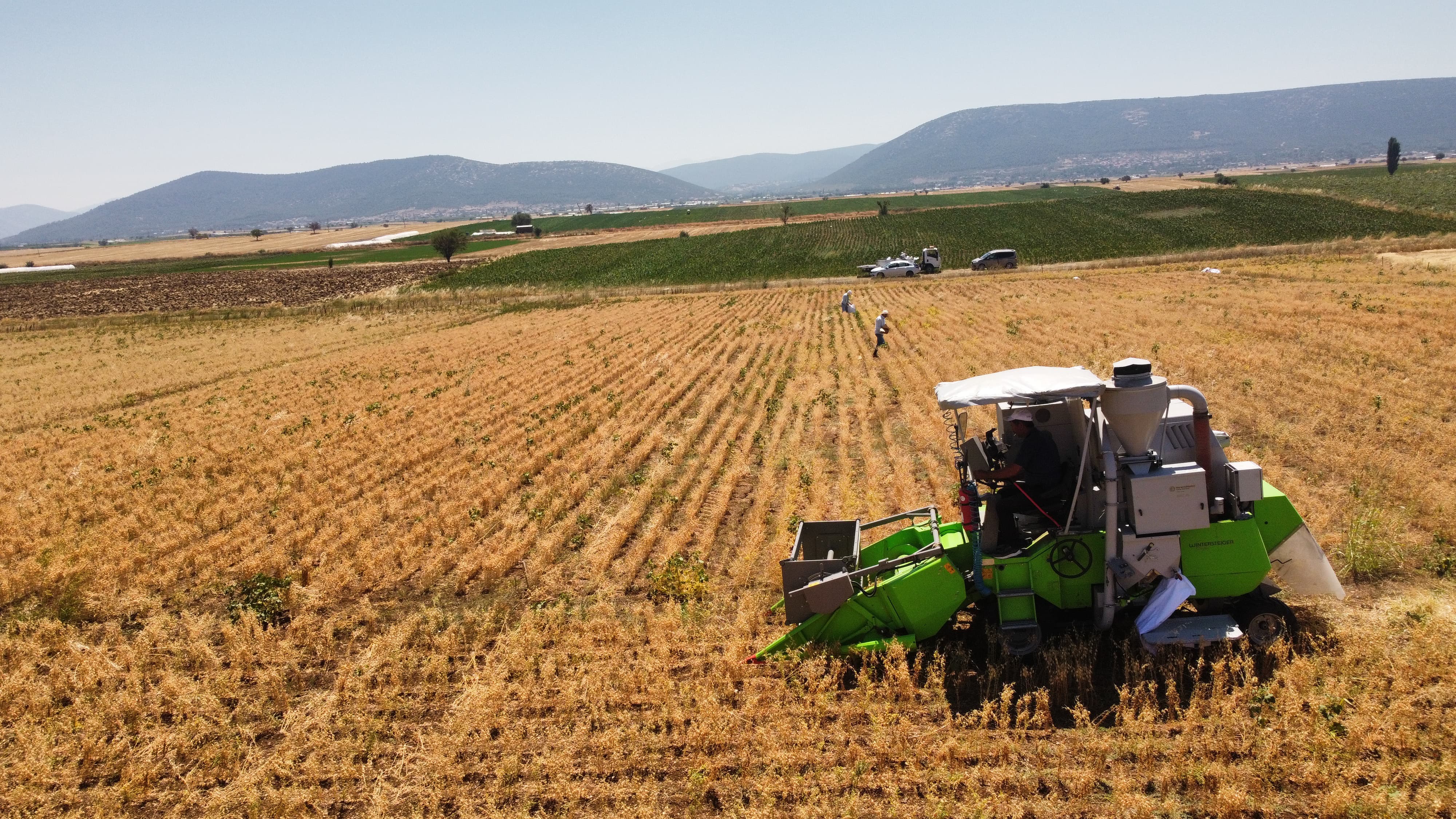 Denizli Haber Nohut.67