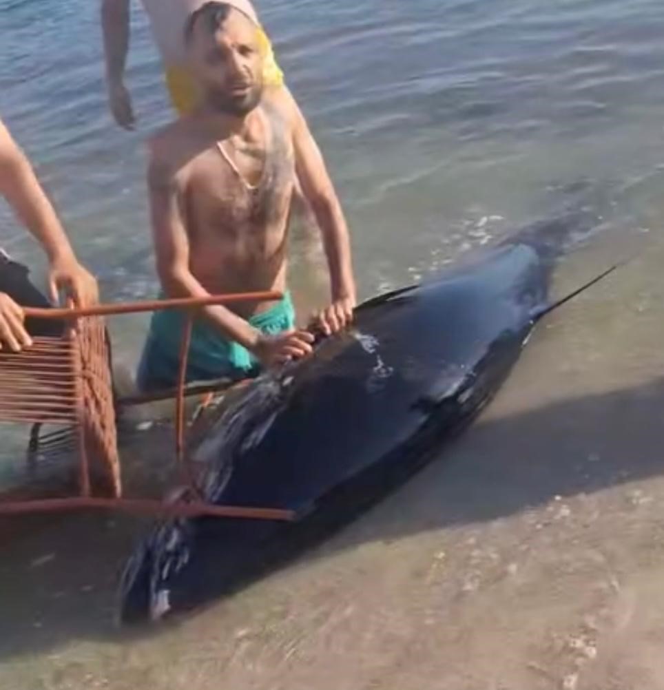 Denizli Haber Okinoks (2)