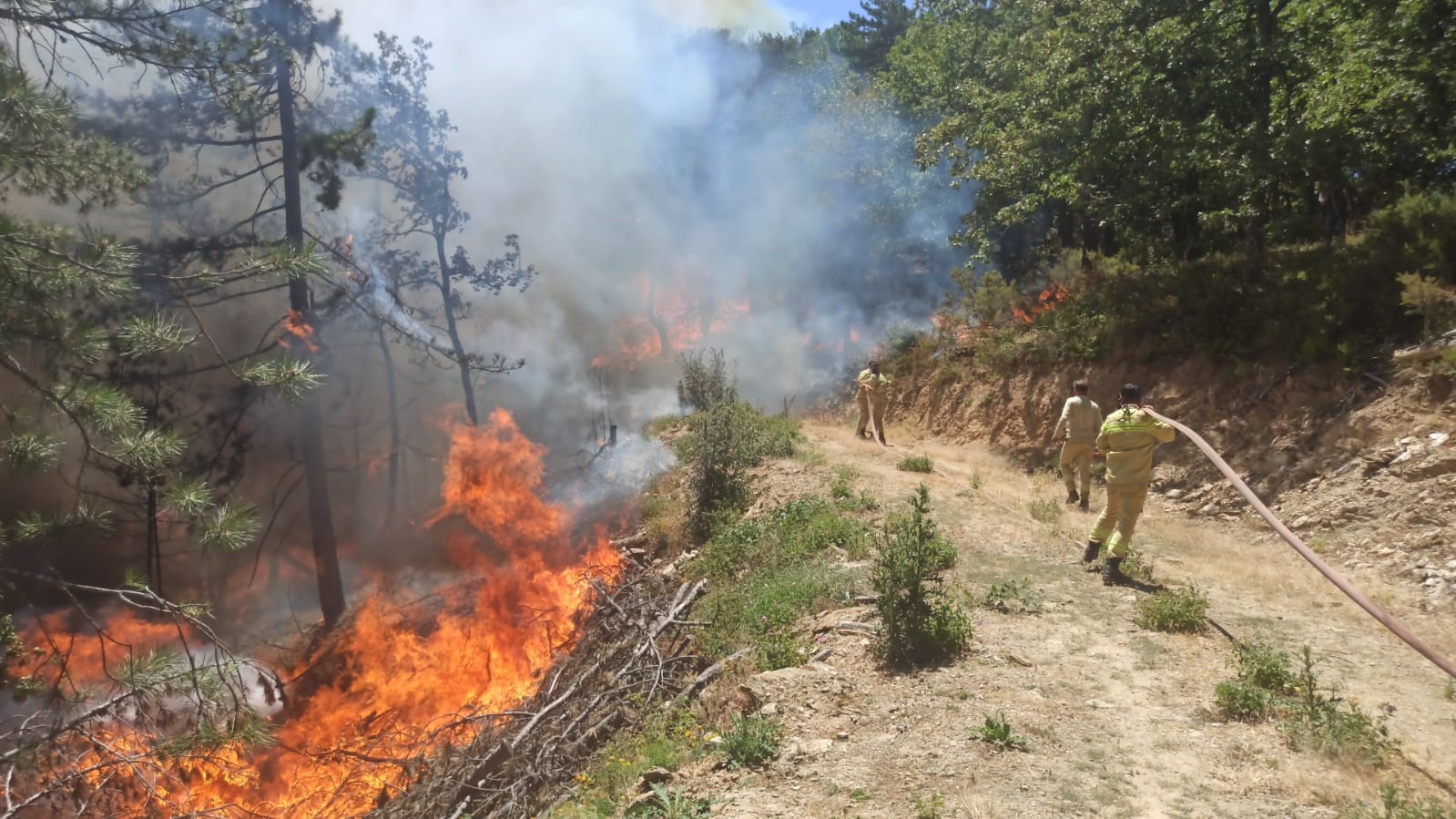 Denizli Haber Ormanyangın