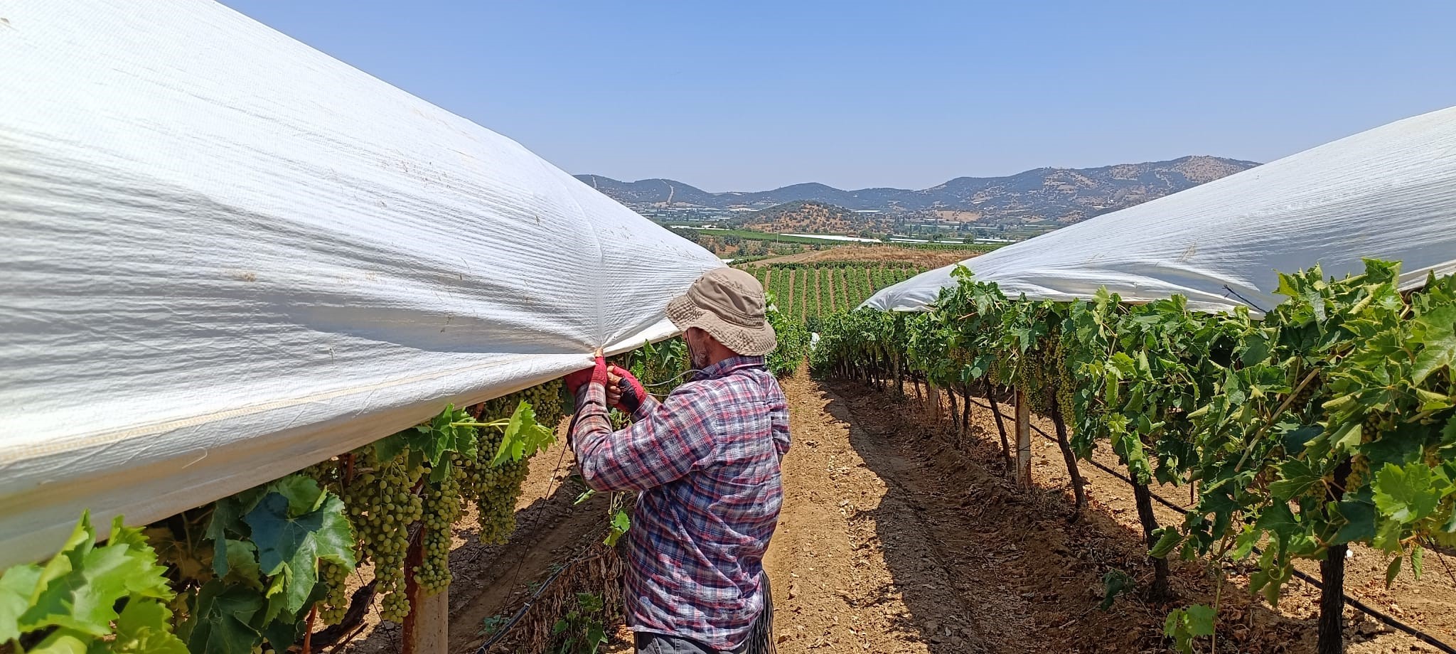 Denizli Haber Örtücü (1)