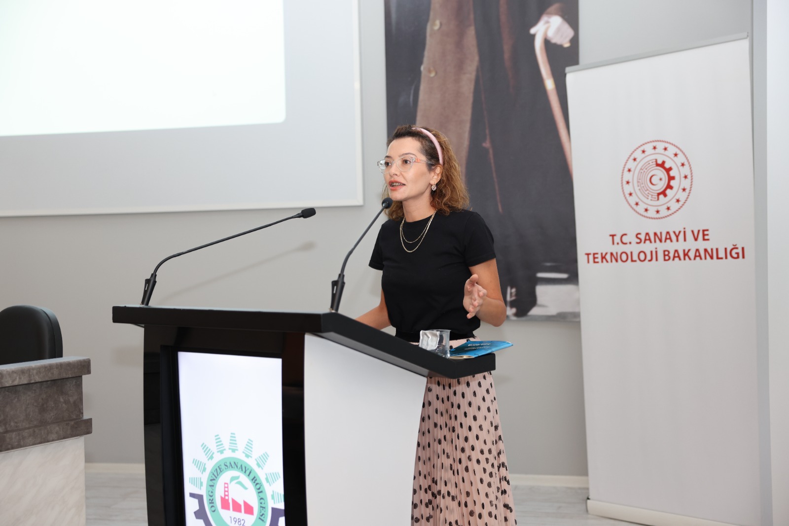 Denizli Haber Osb Sanayi (5)