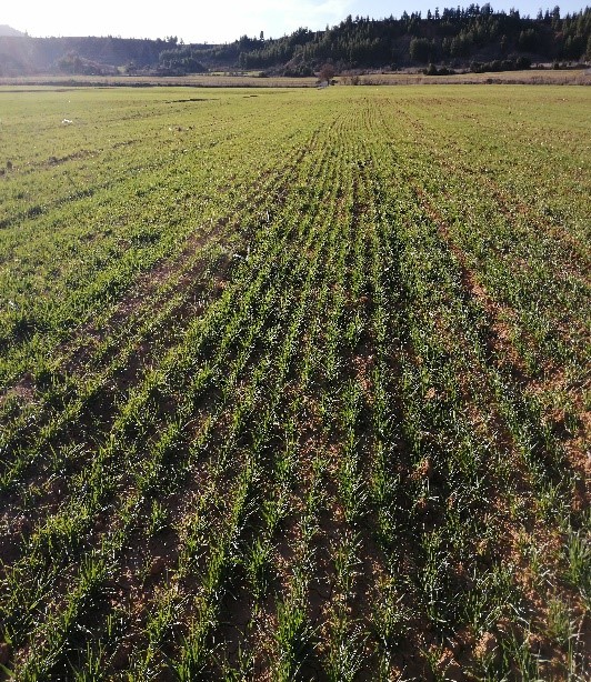 Denizli Haber Paü (3)-4