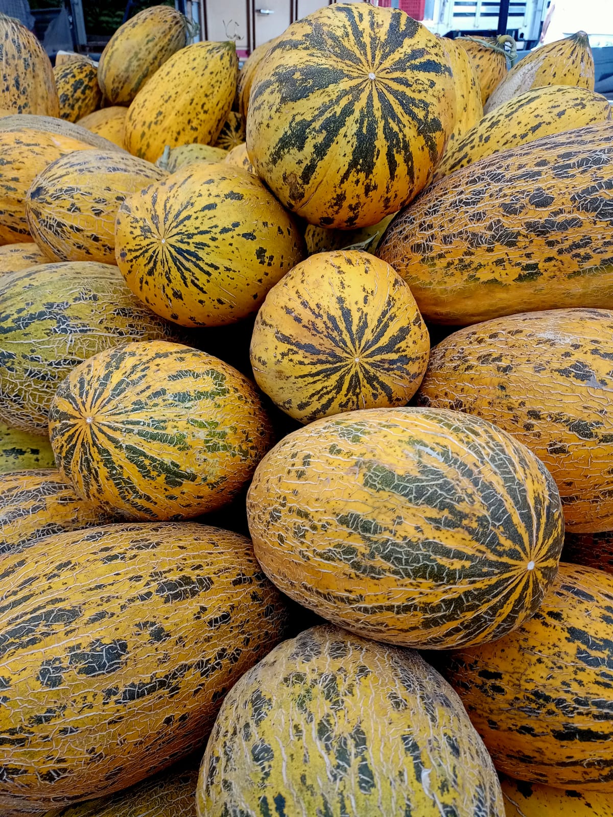 Denizli Haber Pazar Fiyat (2)