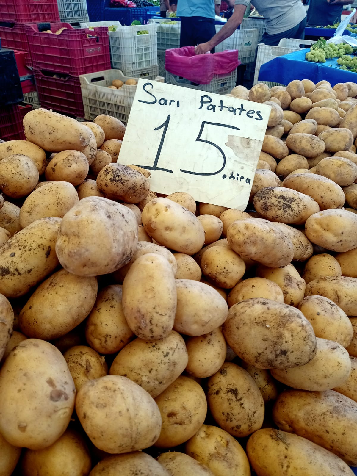 Denizli Haber Pazar Fiyat (3)