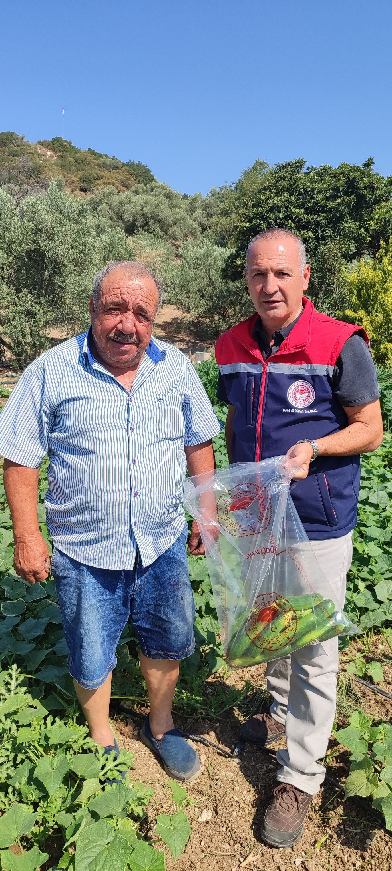 Denizli Haber Pestisit (1)-2