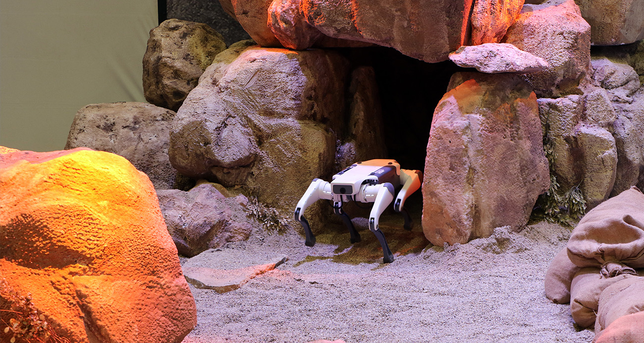 Denizli Haber Robot-1