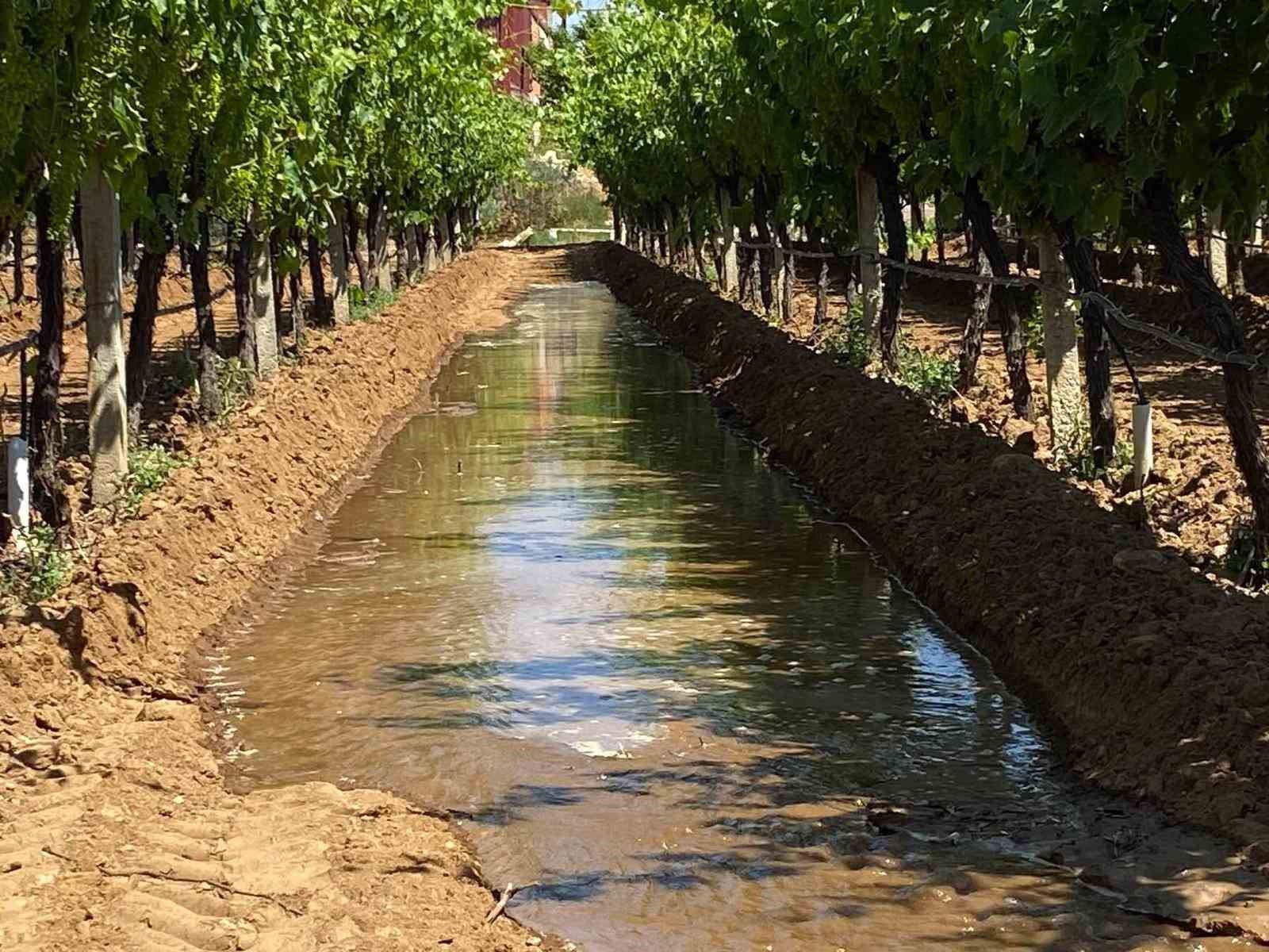 Denızlı Haber Sarıgöl Bağ