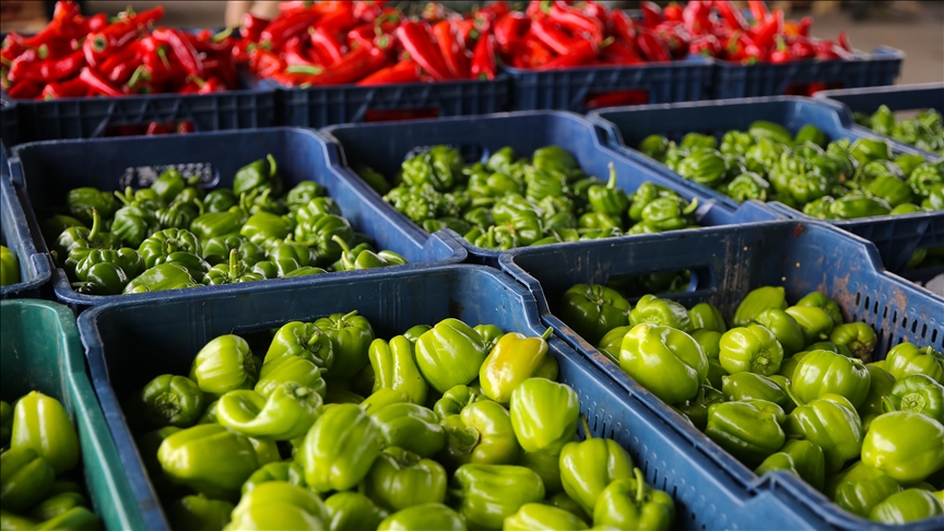 Denizli Haber Sebze2