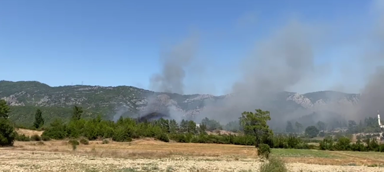 Denizli Haber Serik Yangın