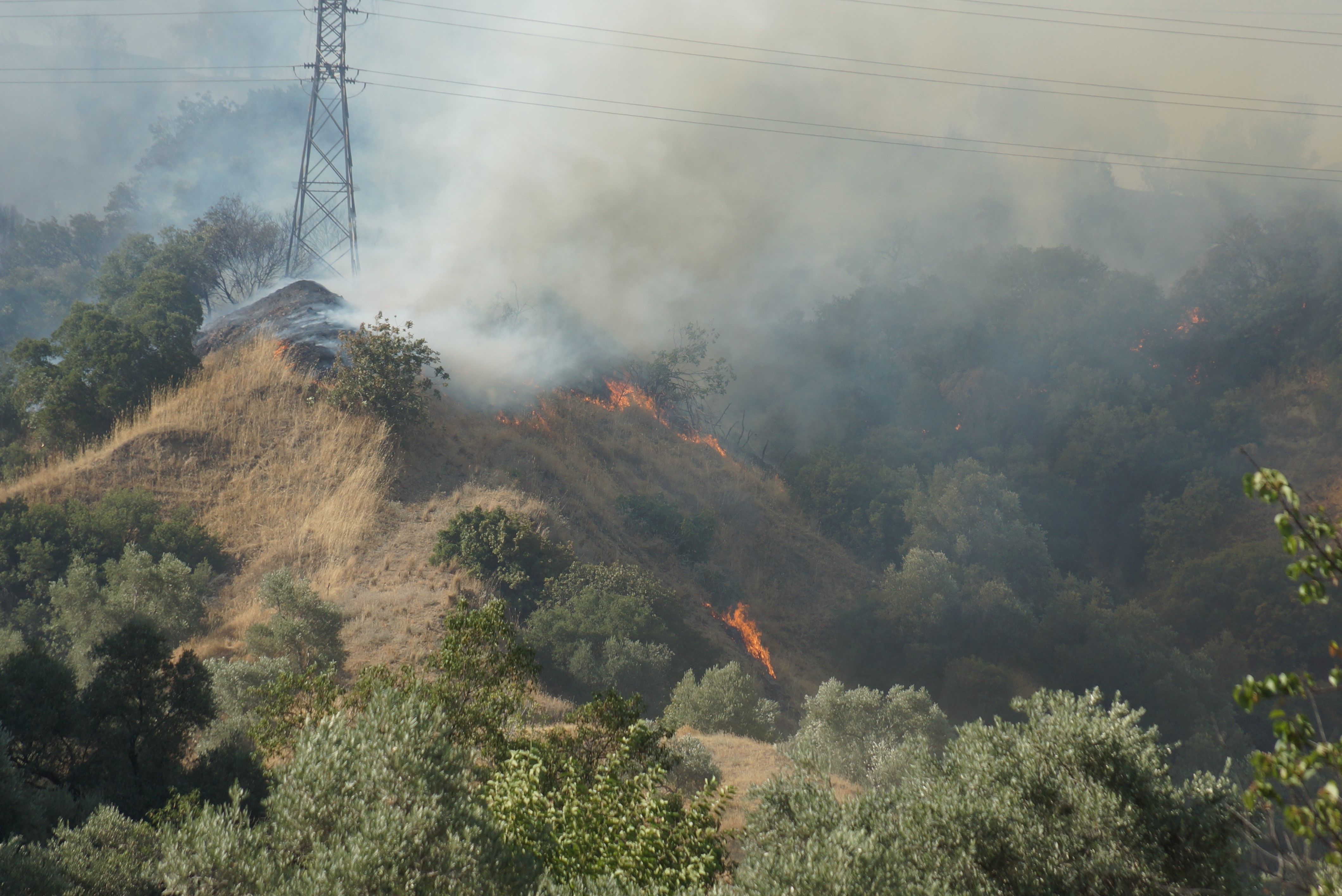 Denizli Haber Son2 (2)