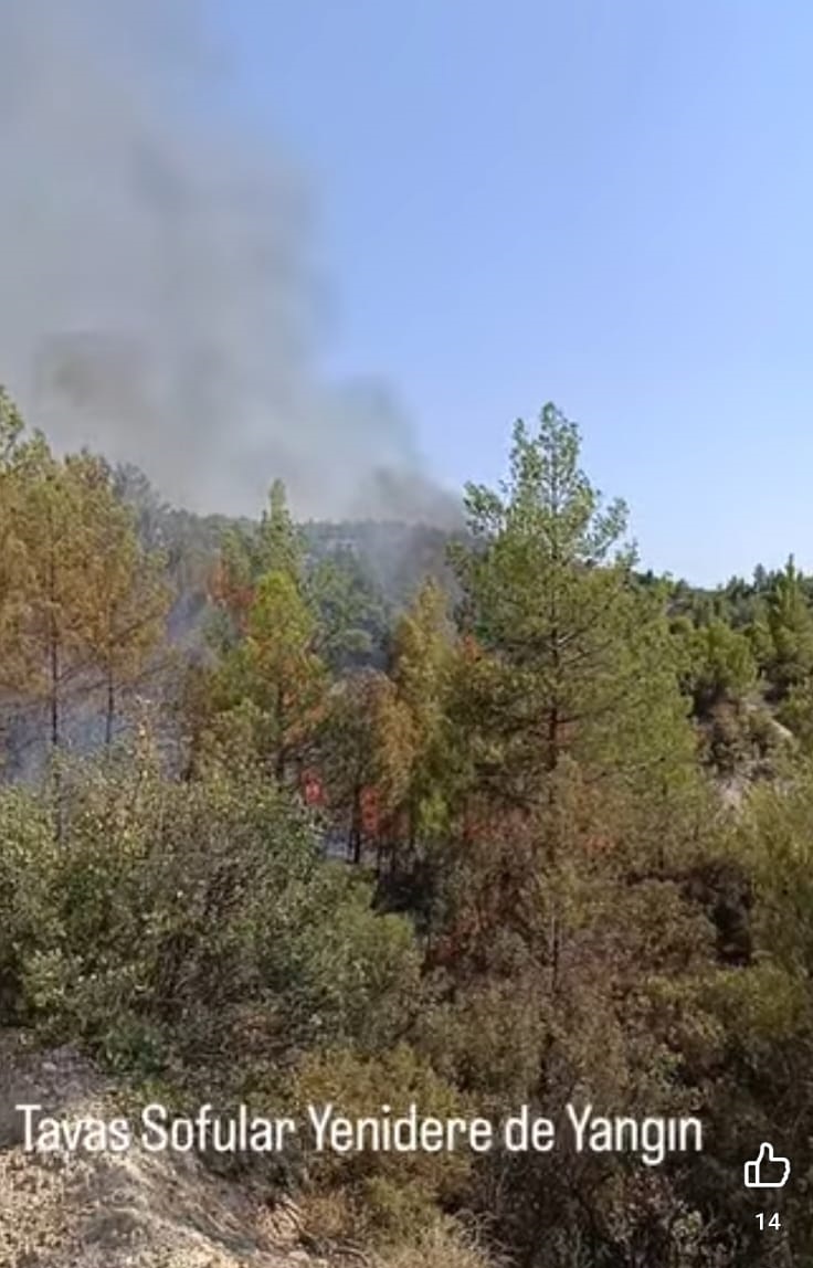 Denizli Haber Tavas Yangın (1)