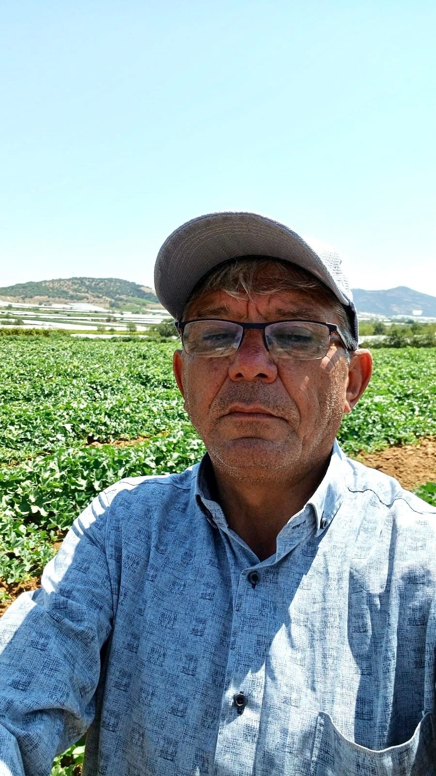 Denizli Haber Tilki (2)