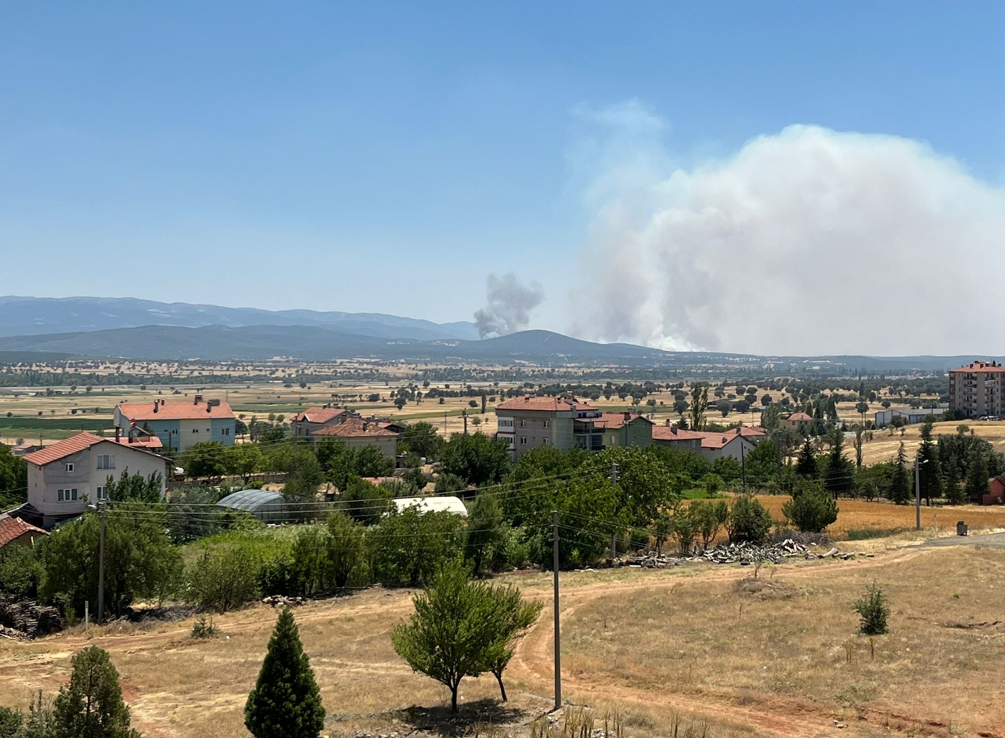 Denizli Haber Uşak Yangın (2)