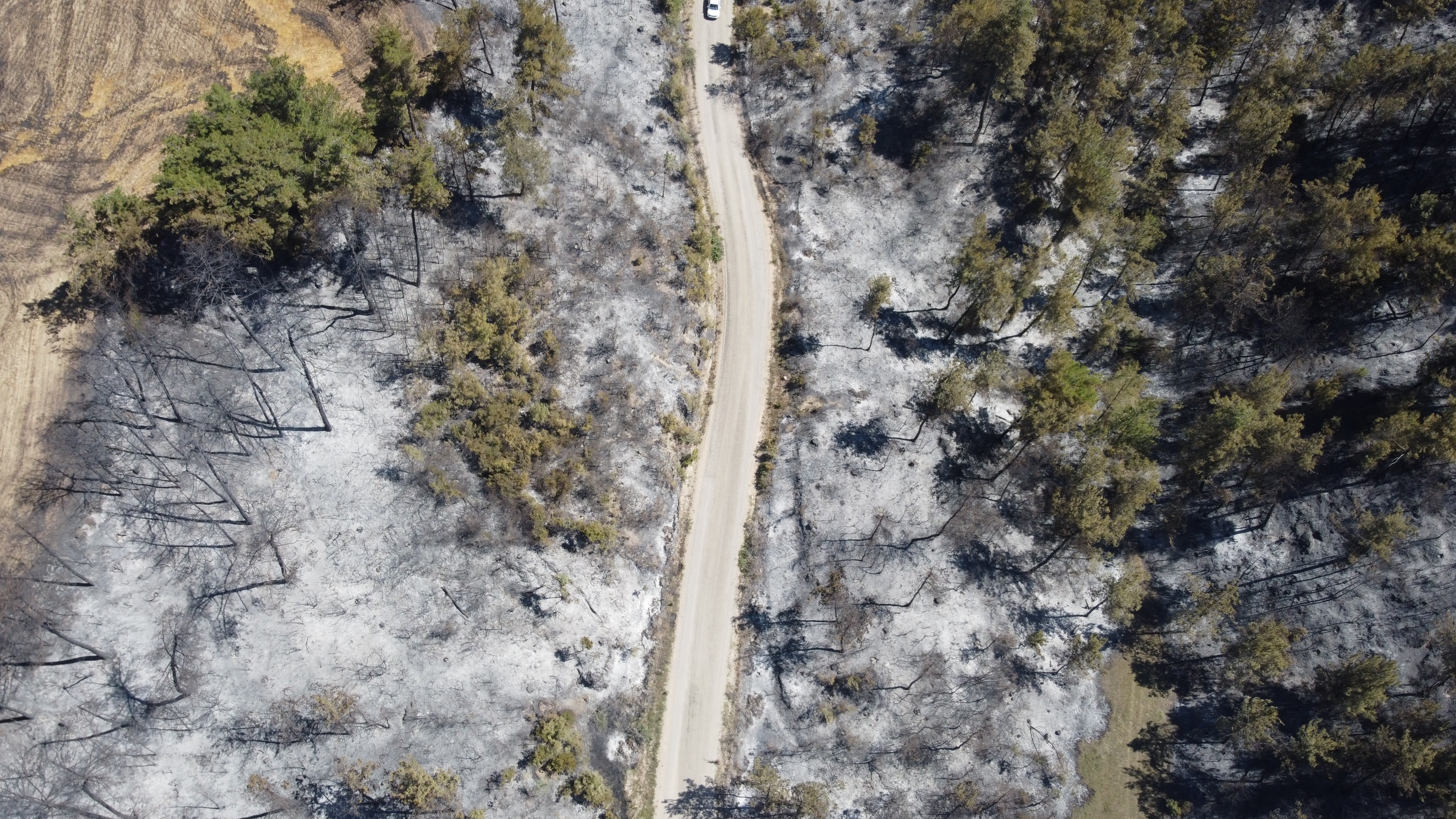 Denizli Haber Yangımn